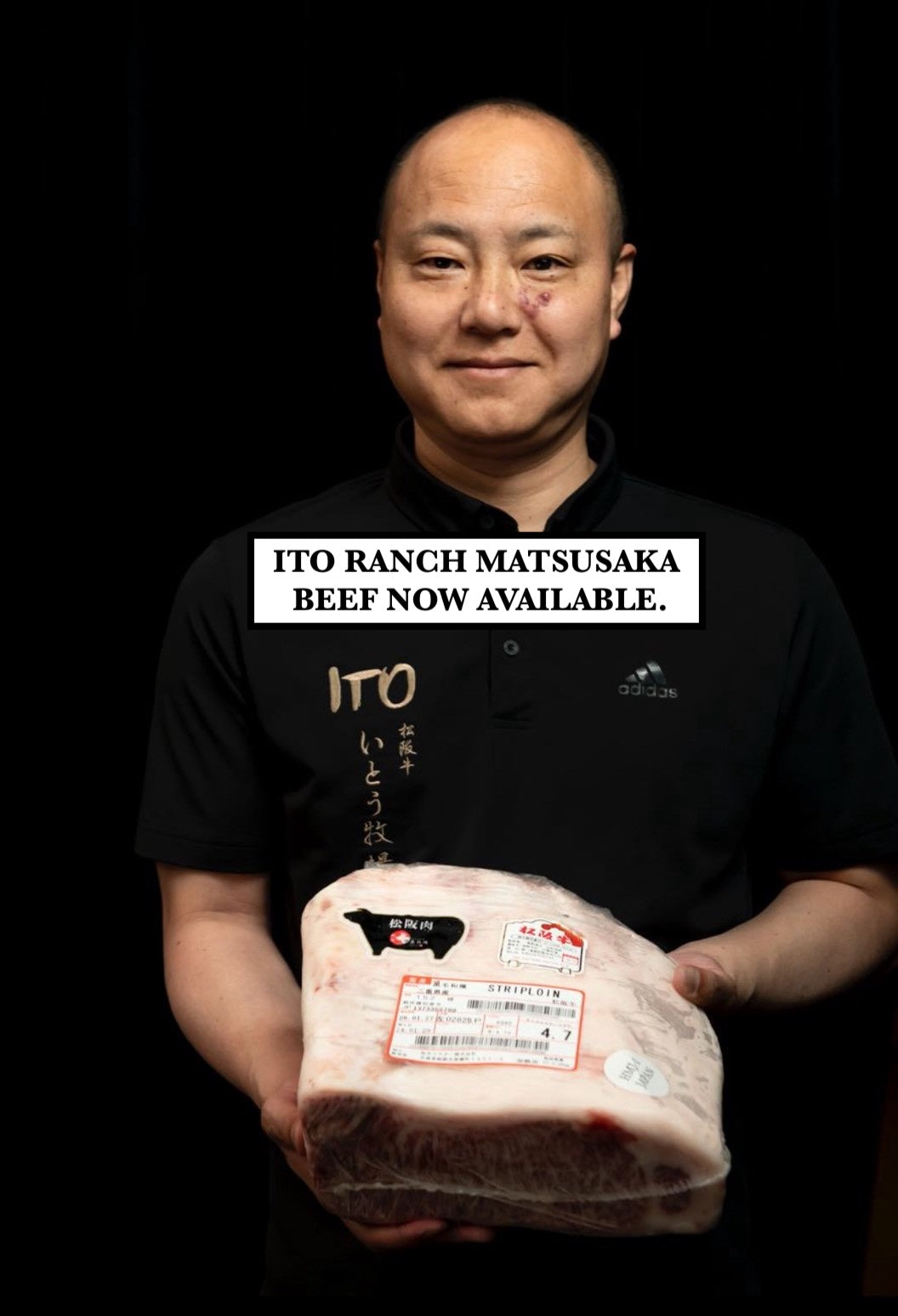 Ohmi A5 Japanese Wagyu | Prime Cuts by Doubleday